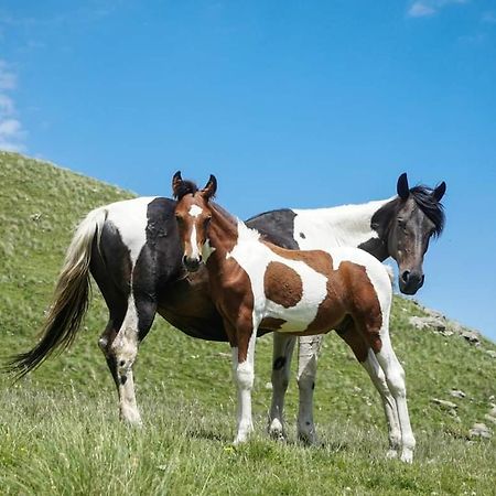 Mariami Hotel Kazbegi Eksteriør billede