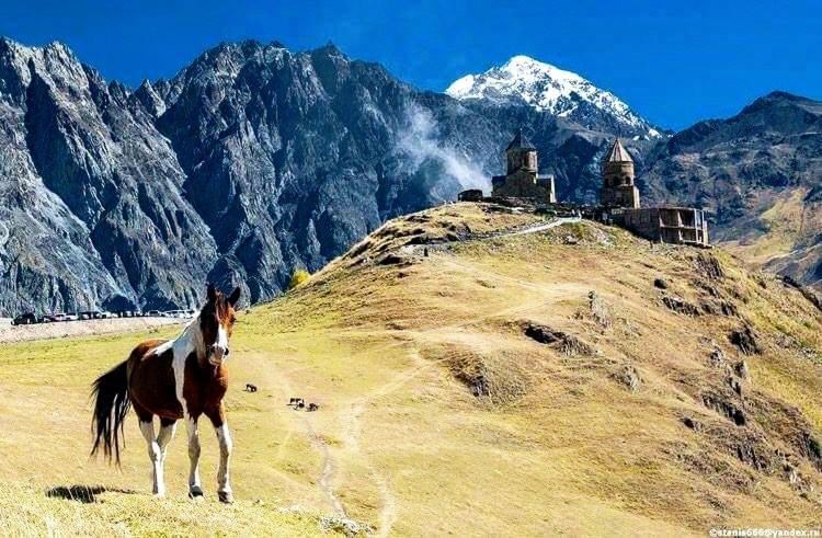 Mariami Hotel Kazbegi Eksteriør billede