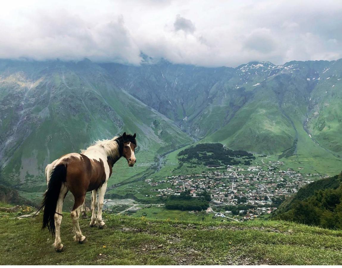 Mariami Hotel Kazbegi Eksteriør billede