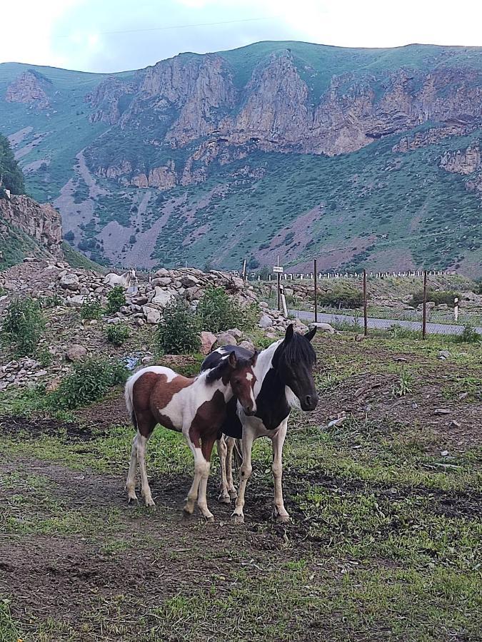 Mariami Hotel Kazbegi Eksteriør billede