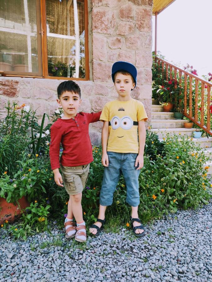 Mariami Hotel Kazbegi Eksteriør billede